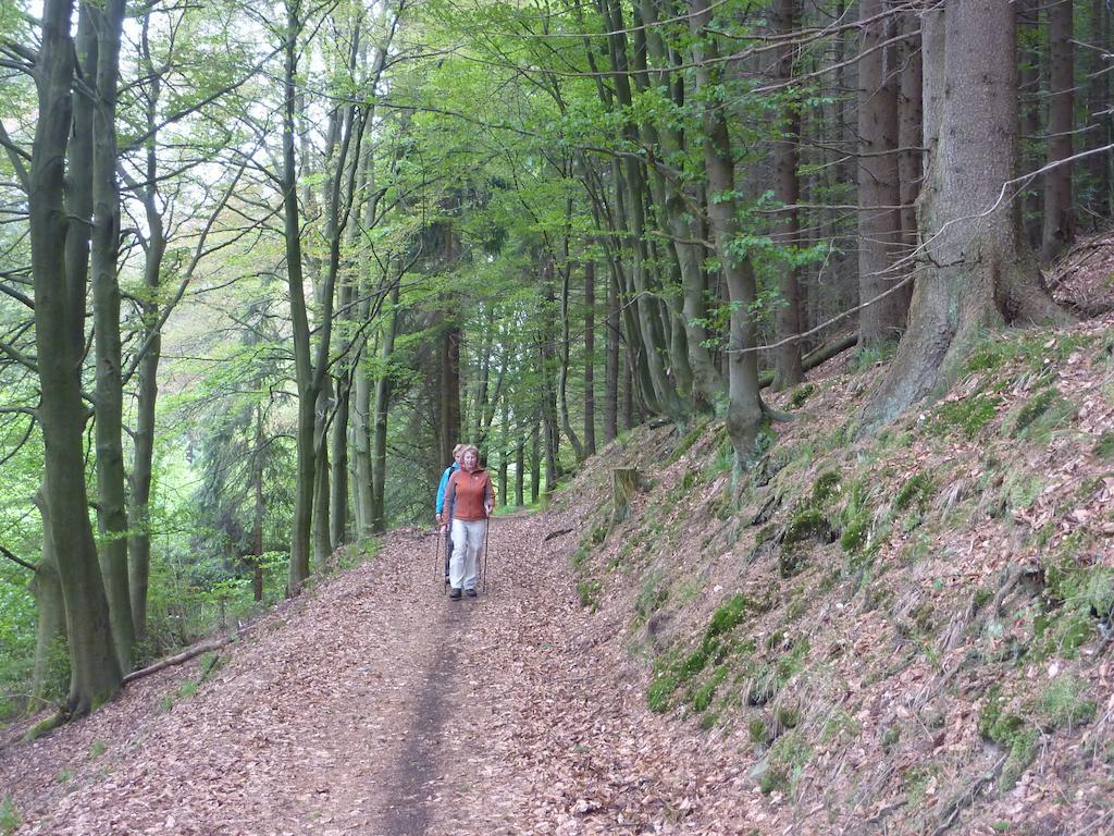Elpe Apartments Hochsauerland Luaran gambar